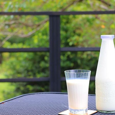 The Guernsey Hotel & Resort Taketa Εξωτερικό φωτογραφία